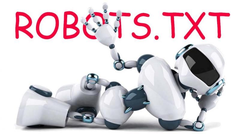 Что такое robots.txt и зачем он нужен в Нижнем Новгороде